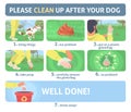 Clean up dog poop vector infographic set