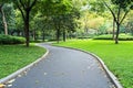 A clean urban park path with a single leaf resting on the pavement Royalty Free Stock Photo