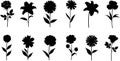 Diverse Flower Silhouettes Collection Royalty Free Stock Photo