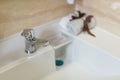 Clean washbasin and stainless steel tap Royalty Free Stock Photo