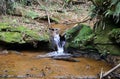 Clean water falling through the small waterfall in the stream in the middle of the forest