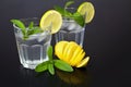 Clean water in a glass of ice cubes, lemon and fresh mint.