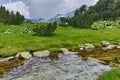 Clean water of Mountain river near Muratov peak, Pirin Mountain Royalty Free Stock Photo