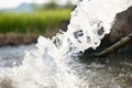 Clean water out from public irrigation pipe Royalty Free Stock Photo