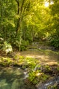 Mexico Jungle Waterfalls