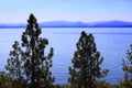 Clean waters of Lake Tahoe, USA Royalty Free Stock Photo