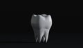 clean white healthy strong tooth molar on black background Royalty Free Stock Photo