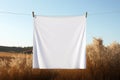 Clean white sheet drying on a line. Laundry with clothes pins on a rope outdoors. Clean clothesline dry laundry line. Empty space Royalty Free Stock Photo