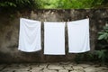 Clean white sheets drying on a line. Laundry with clothes pins on a rope outdoors. Clean clothesline dry laundry line. Empty space Royalty Free Stock Photo