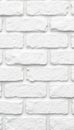 Clean whitewashed block wall, seamless backdrop, texture, architecture