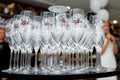 Clean wine glasses on the tray Royalty Free Stock Photo