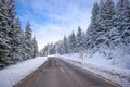 Clean winter road on mountain with turns and curve with trees under the snow Royalty Free Stock Photo