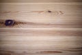 Clean wood background