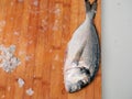 Cleaned raw sea bream on wooden board, fish descaled