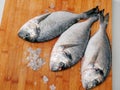 Cleaned raw sea bream on wooden board, fish descaled