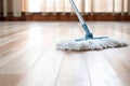 Cleaner floor housework hygiene household work Royalty Free Stock Photo