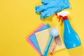 Cleaners from natural eco-friendly products on color background Royalty Free Stock Photo