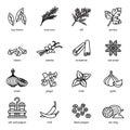 Spices, condiments and herbs icon set with white background.