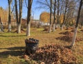 Cleaning of the autumn park. Heap of orange leaves and garbage bag in autumn park