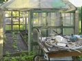 Cleaning a backyard and planting in a greenhouse