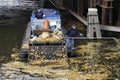 Cleaning boat