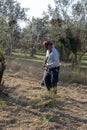 Cleaning with a brush cutter during the shredding