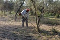 Cleaning with a brush cutter during the shredding