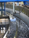 Weir on secondary clarifier cleaned by brush