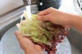 Cleaning cabbage