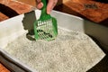 Cleaning cat litter box. Hand is cleaning of cat litter box with green spatula. Toilet cat cleaning sand cat. Royalty Free Stock Photo