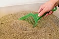 Cleaning cat litter box. Hand is cleaning of cat litter box with green spatula. Toilet cat cleaning sand cat. Royalty Free Stock Photo