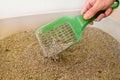 Cleaning cat litter box. Hand is cleaning of cat litter box with green spatula. Toilet cat cleaning sand cat. Royalty Free Stock Photo