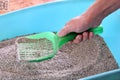 Cleaning cat litter box. Hand is cleaning of cat litter box with green spatula. Toilet cat cleaning sand. Royalty Free Stock Photo