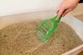 Cleaning cat litter box. Hand is cleaning of cat litter box with green spatula. Toilet cat cleaning sand cat. Royalty Free Stock Photo