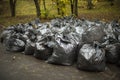 Cleaning day in Russia. Lots of bags of leaves. Black garbage bags. After cleaning yard Royalty Free Stock Photo