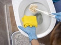 Cleaning a dirty home toilet with a brush and cleaning products