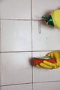 Cleaning of dirty old tiles in a bathroom Royalty Free Stock Photo