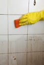 Cleaning of dirty old tiles in a bathroom Royalty Free Stock Photo