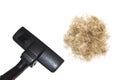 Cleaning of down and hair with a vacuum cleaner isolated on white background. Vacuuming brown hair wool of pet