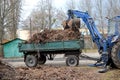 Cleaning dry branches and grass on city streets loading into truck trailer. Royalty Free Stock Photo