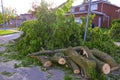 Cleaning of the fallen trees and branches causing road closing after wind storm