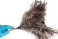 Cleaning with a feather duster Royalty Free Stock Photo