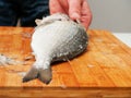 Cleaning fish, Man holding fish`s head. Descaling stage, Raw sea bream on a wooden cutting board
