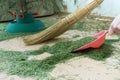 Cleaning the floor from dry fallen Christmas tree needles after New Year holidays Royalty Free Stock Photo