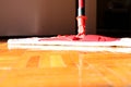 Cleaning floor in room close-up Royalty Free Stock Photo