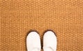 Cleaning foot carpet with shoes made of sheep wool