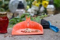 Cleaning grave on cemetery before All Saints` Day