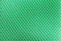 Cleaning Green Sponge Texture Background. Royalty Free Stock Photo