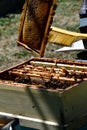 Cleaning honeycomb and beehive