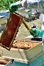 Cleaning honeycomb and beehive